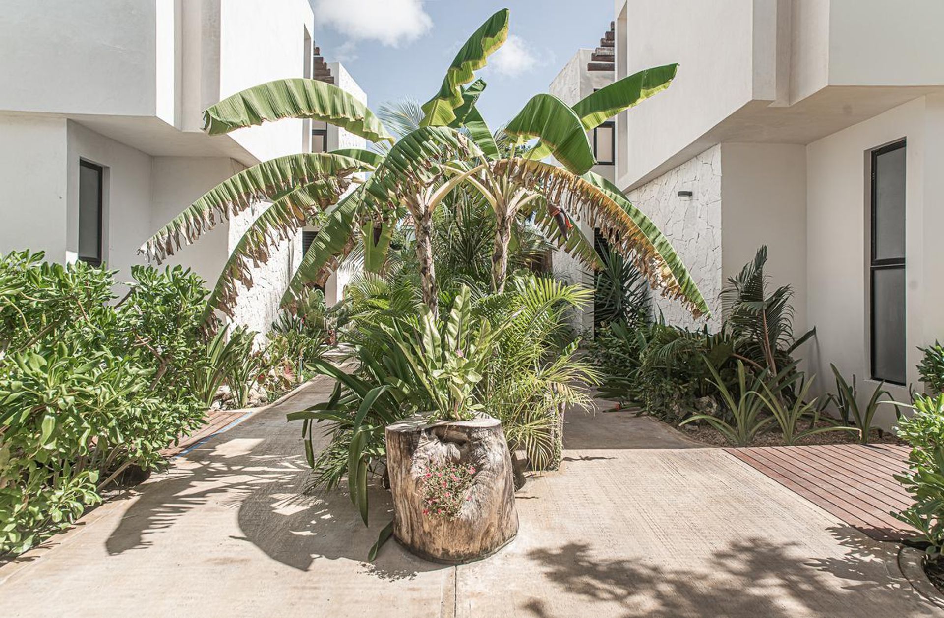 Haus im Tulum, Quintana Roo 10845138