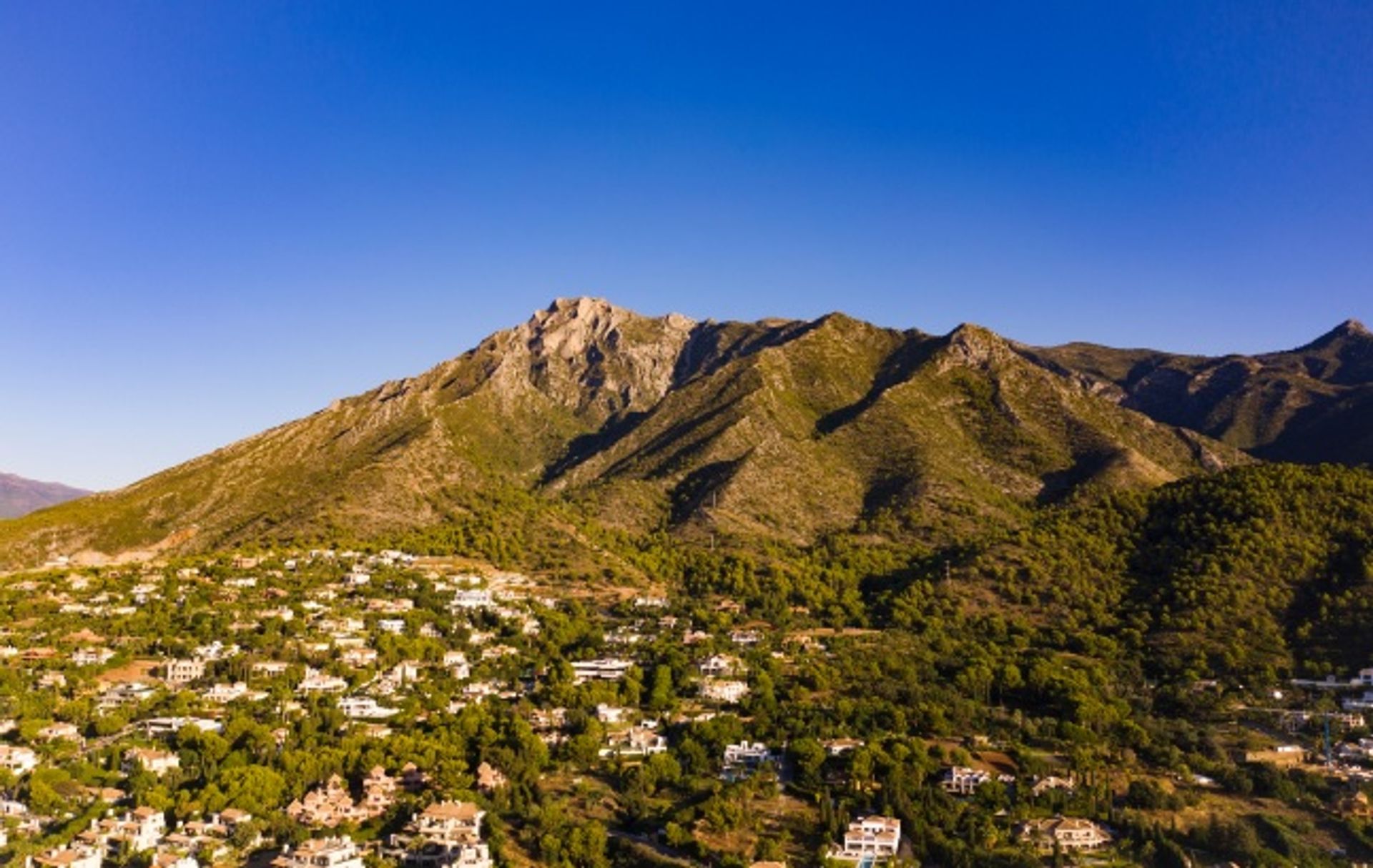 Terre dans Marbella, Andalousie 10845142