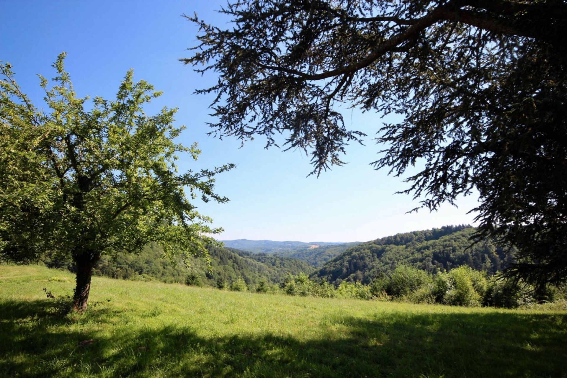 Lain di Châtel-Montagne, Auvergne-Rhône-Alpes 10845374