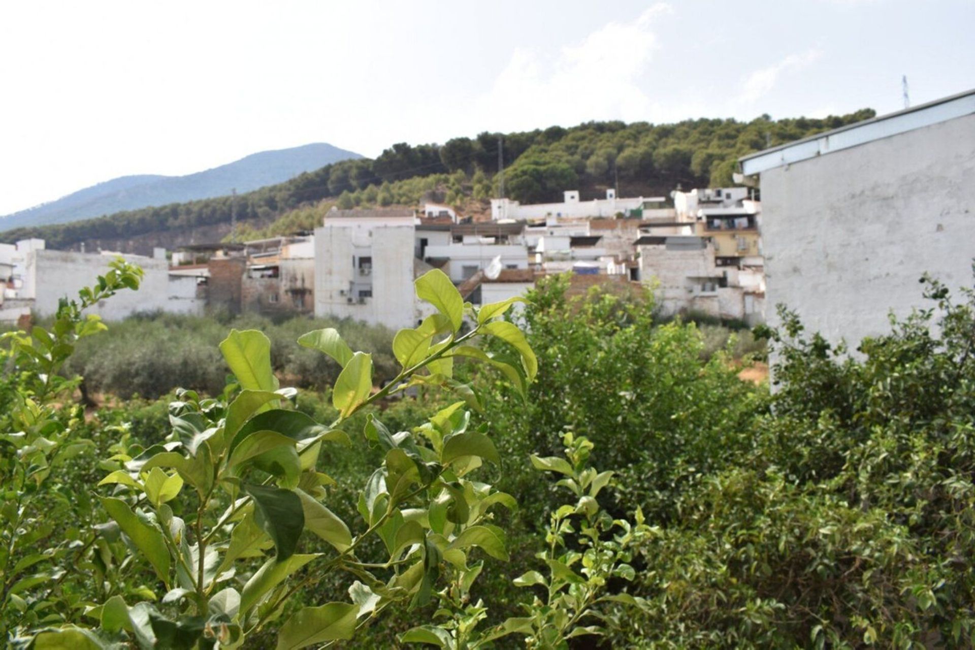 Haus im Alhaurín el Grande, Andalusia 10847532