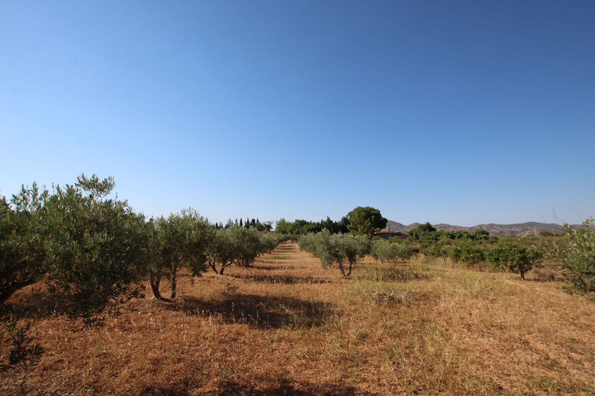 Rumah di Alhaurín el Grande, Andalusia 10847592