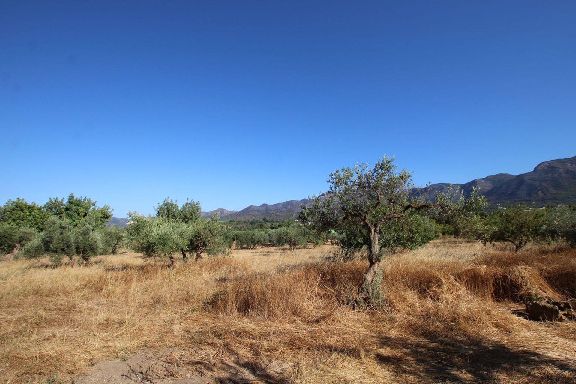 Rumah di Alhaurín el Grande, Andalusia 10847592