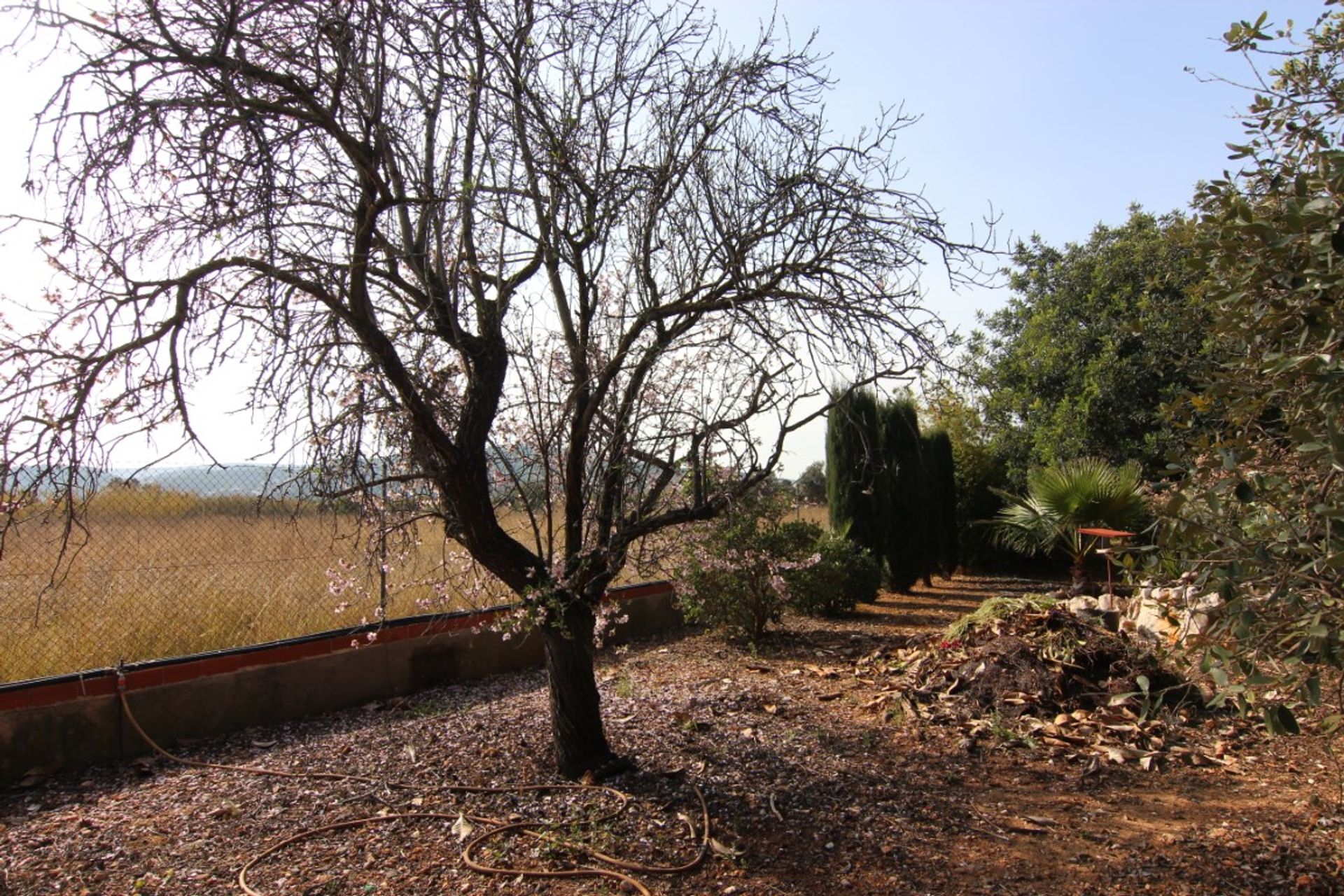 Hus i Xàbia, Valencian Community 10848202