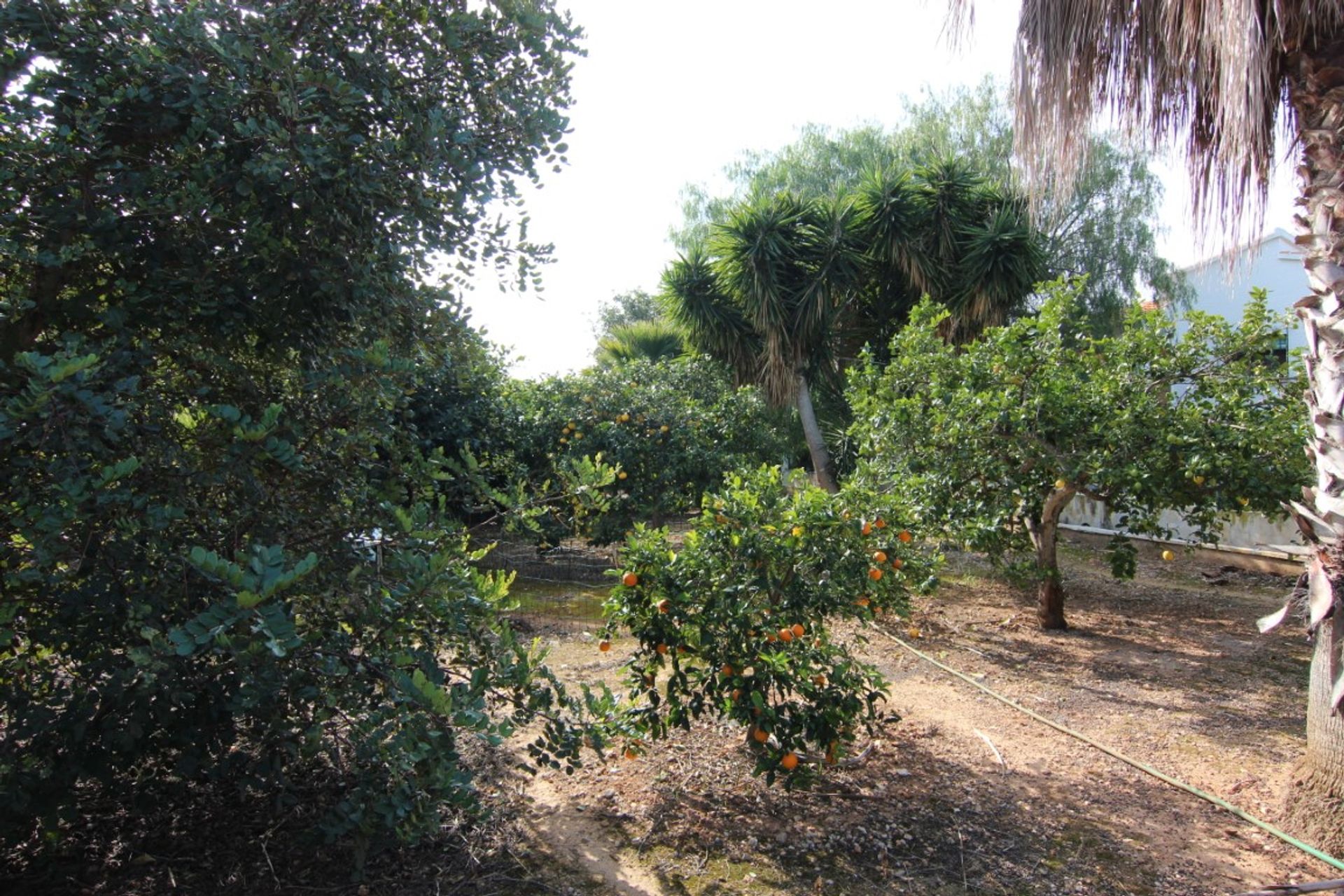 Casa nel Xàbia, Valencian Community 10848202