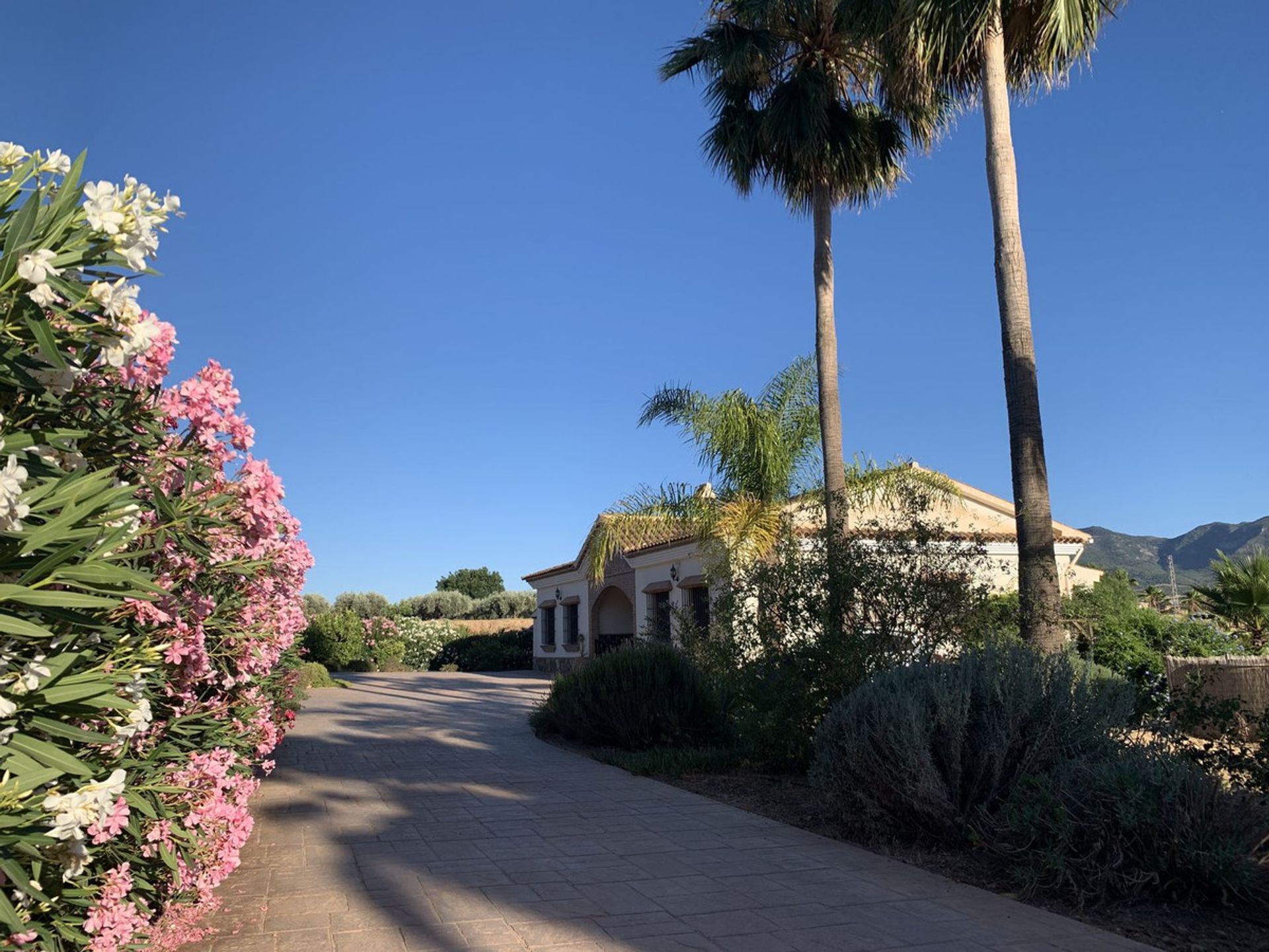 loger dans Alhaurín el Grande, Andalucía 10850838