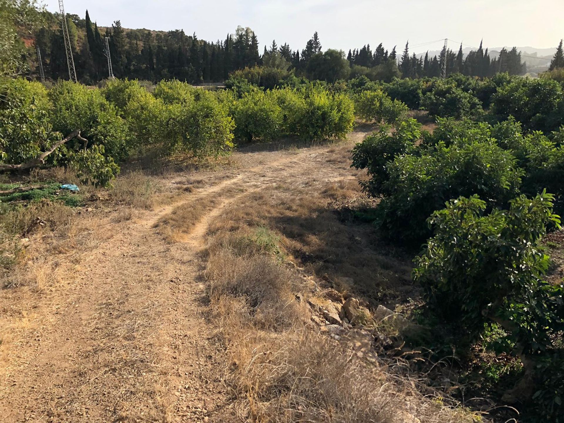 Земельные участки в Las Lagunas de Mijas, Andalucía 10851061