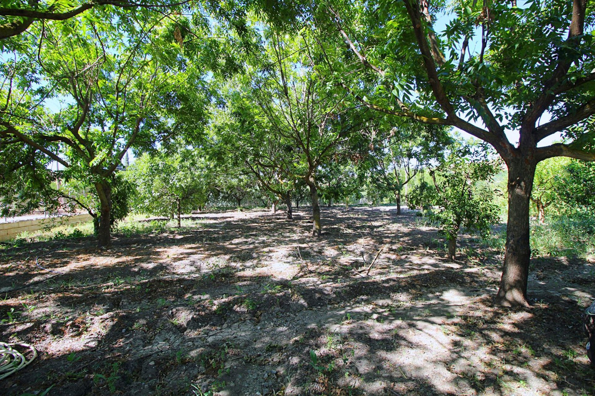 loger dans Pièce de monnaie, Andalousie 10851261