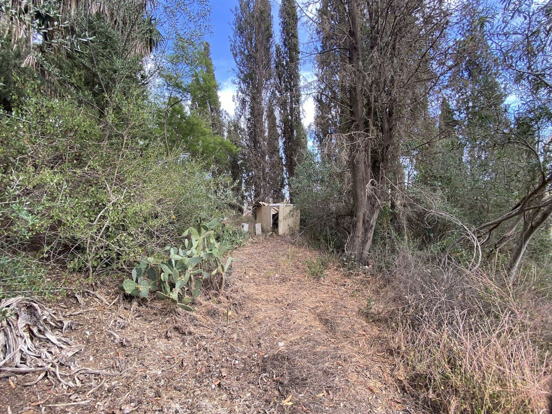 Земельные участки в , Andalucía 10851490