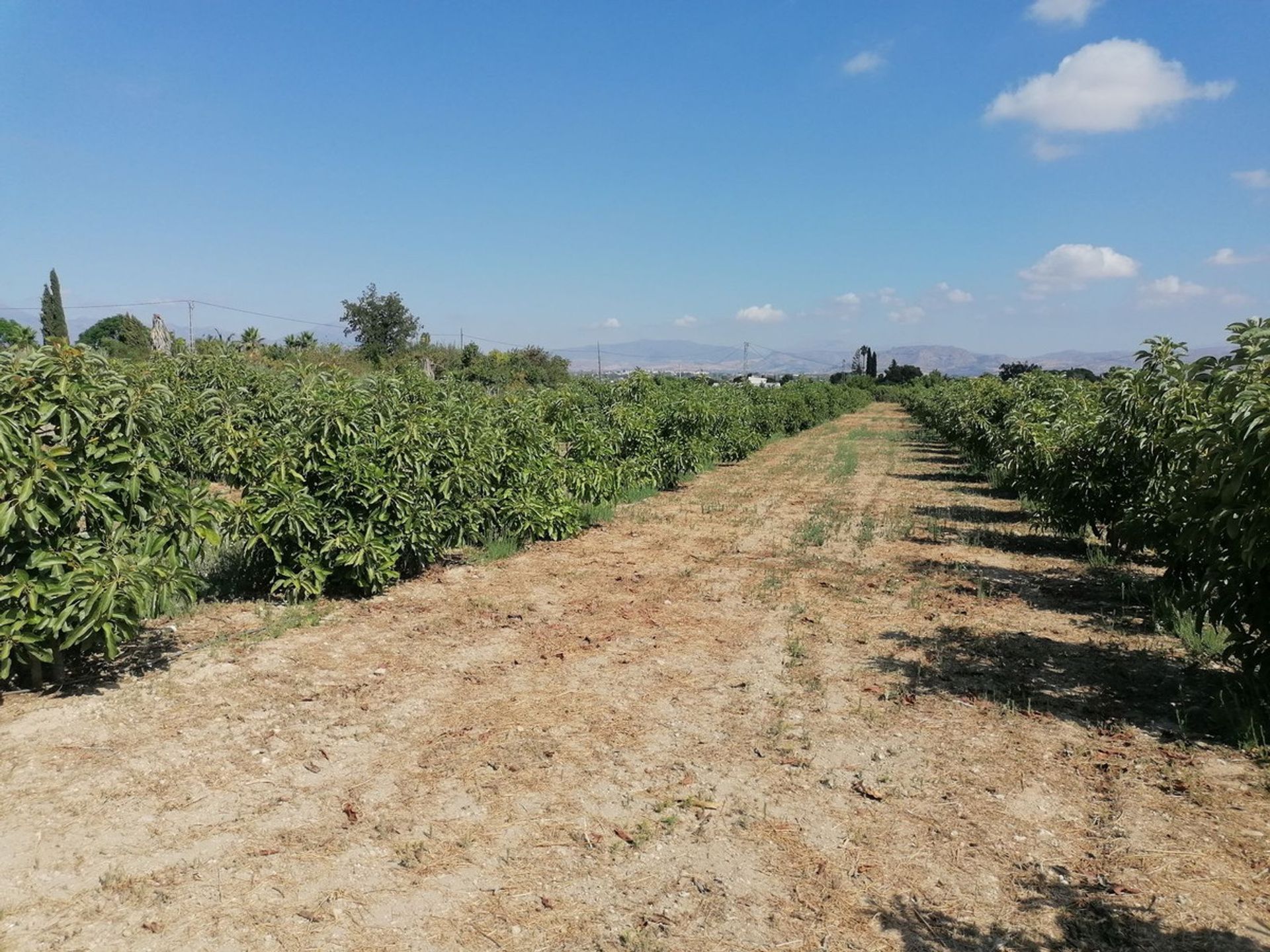 بيت في Alhaurín el Grande, Andalusia 10851860