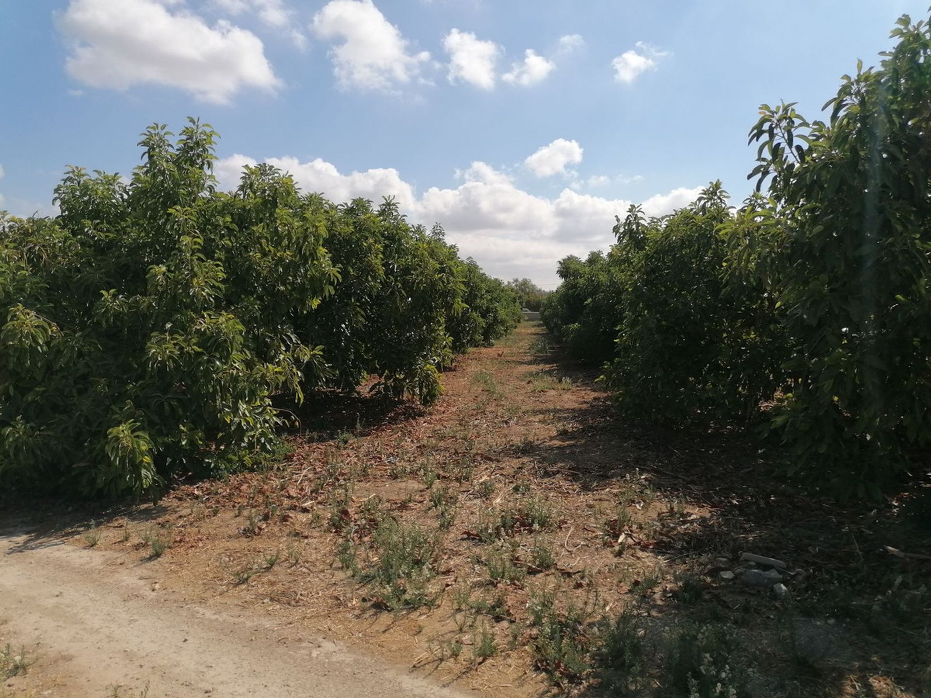 بيت في Alhaurín el Grande, Andalusia 10851860