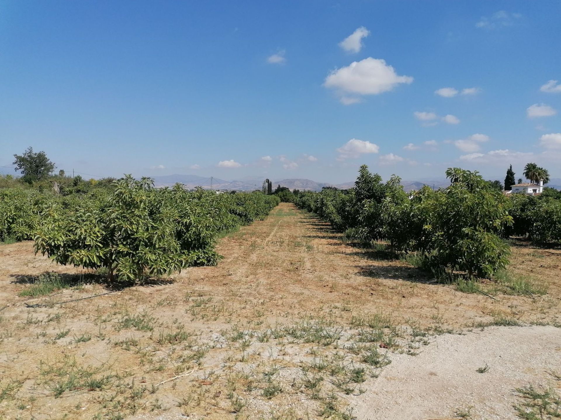 بيت في Alhaurín el Grande, Andalusia 10851860