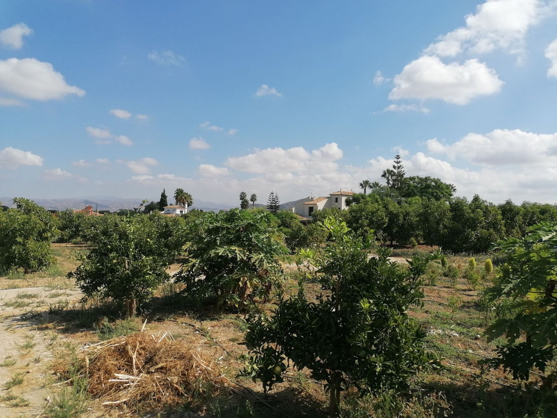 بيت في Alhaurín el Grande, Andalusia 10851860