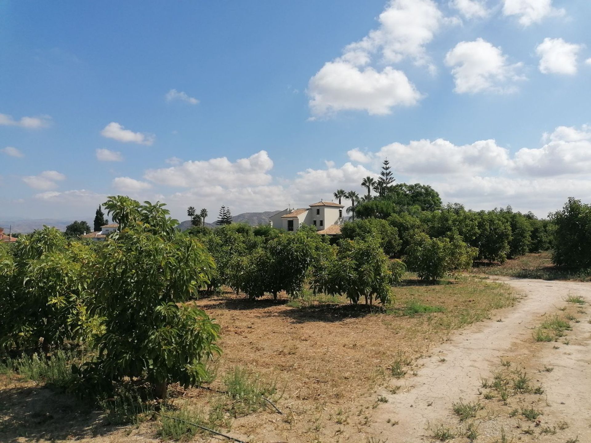 بيت في Alhaurín el Grande, Andalusia 10851860