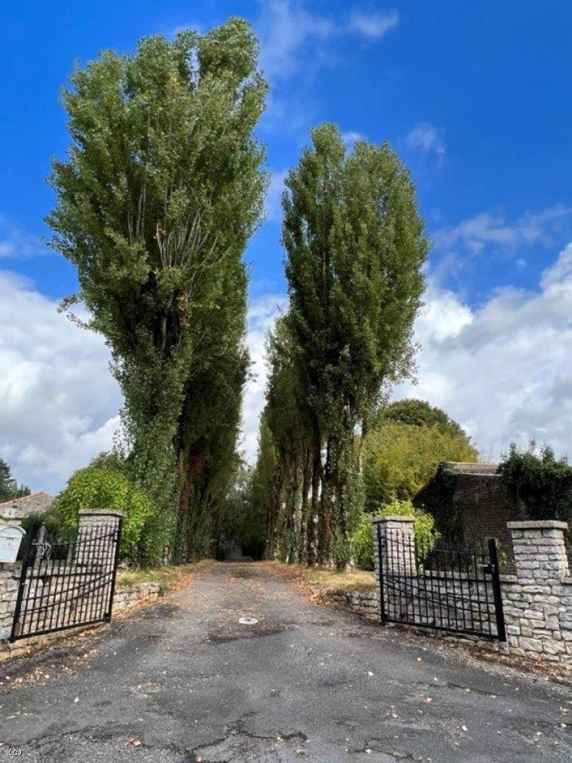 rumah dalam Ardilleux, Nouvelle-Aquitaine 10852598