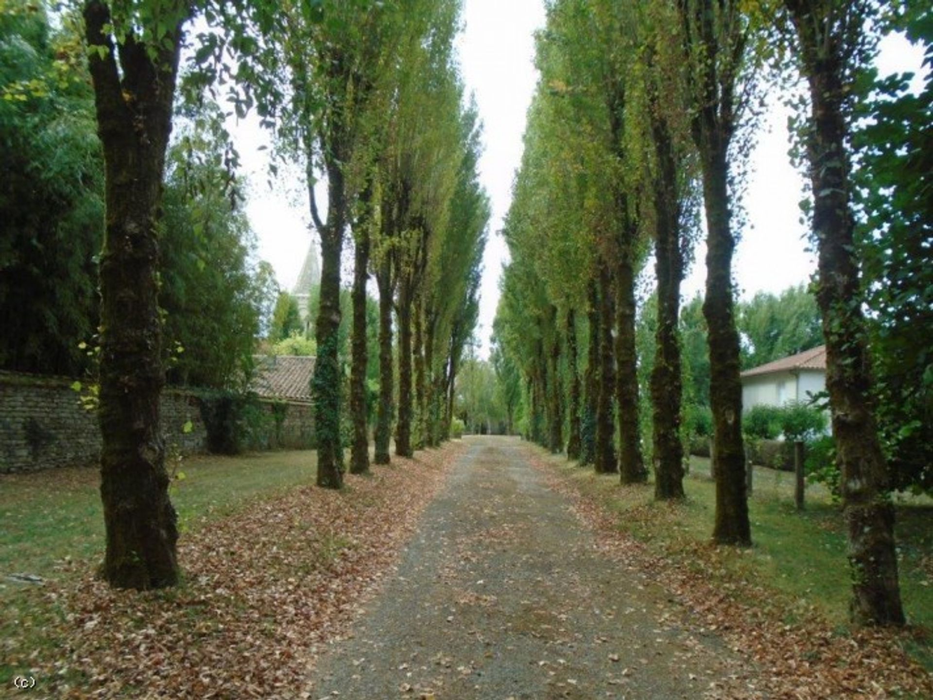 casa no Chef-Boutonne, Nouvelle-Aquitaine 10852598