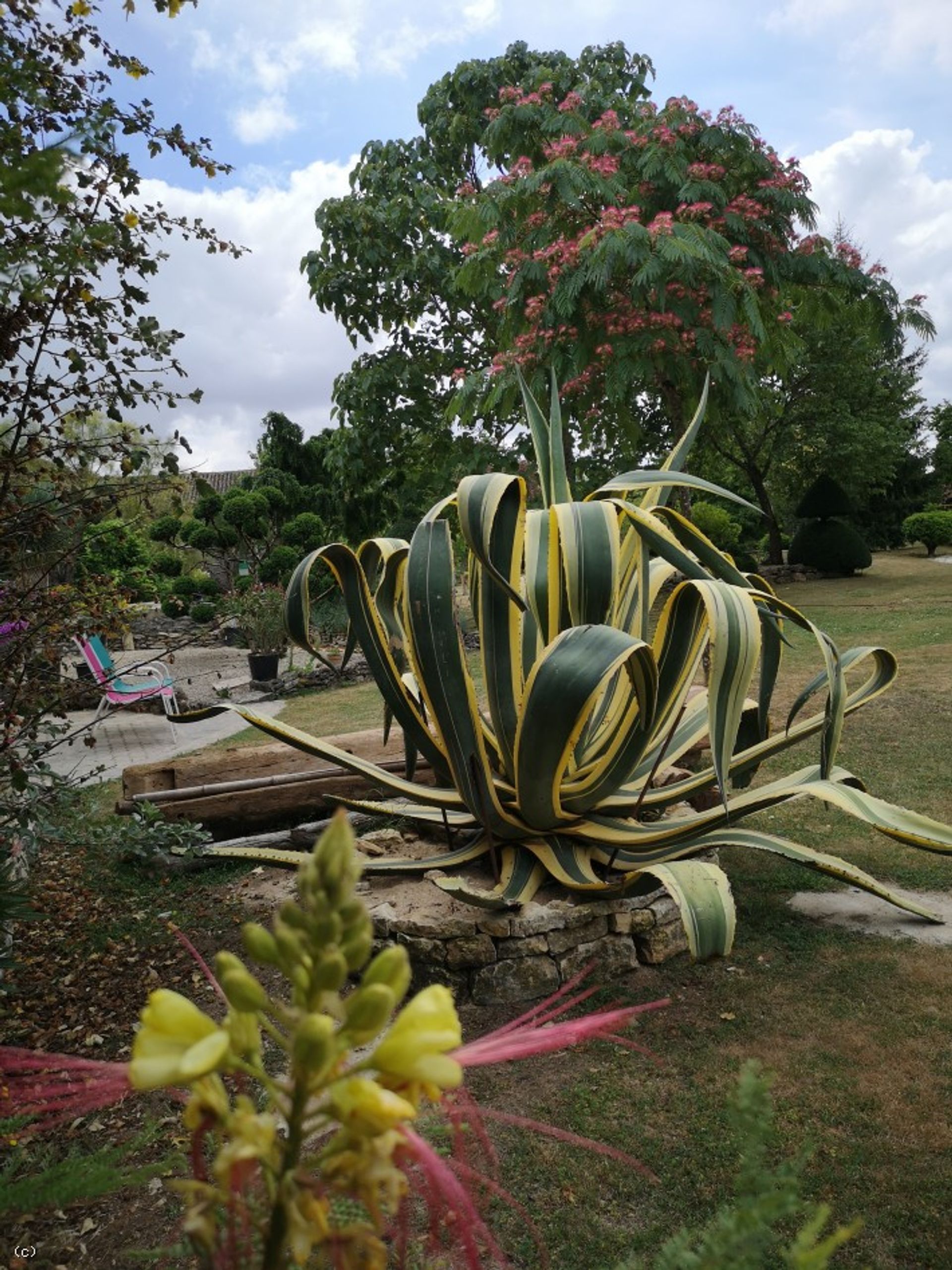 Eigentumswohnung im Chaunay, Nouvelle-Aquitaine 10852635