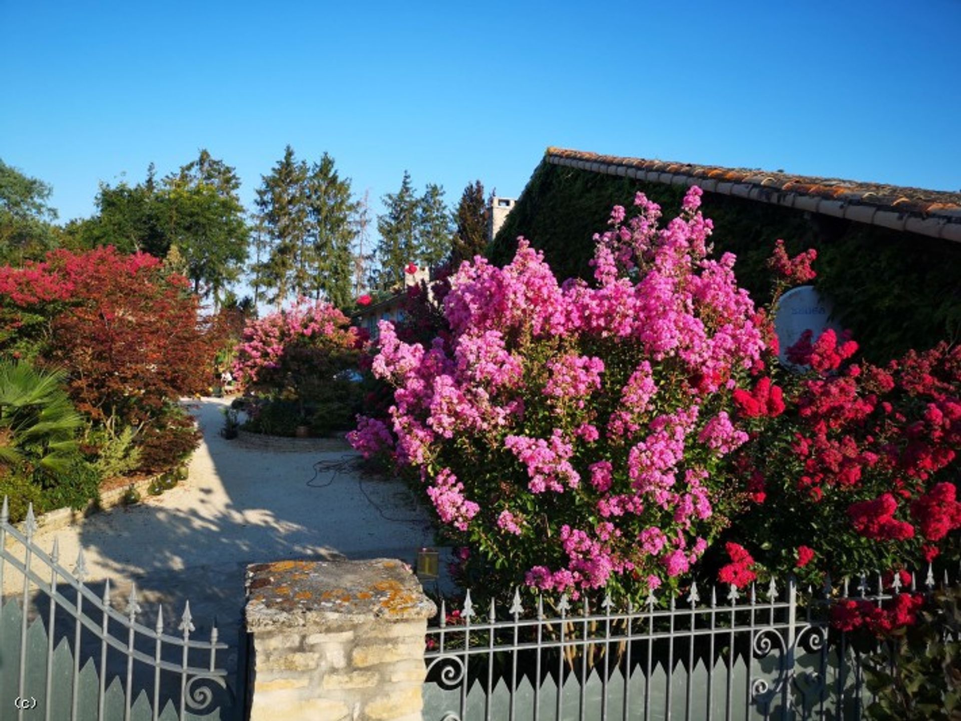 Eigentumswohnung im Chaunay, Nouvelle-Aquitaine 10852635