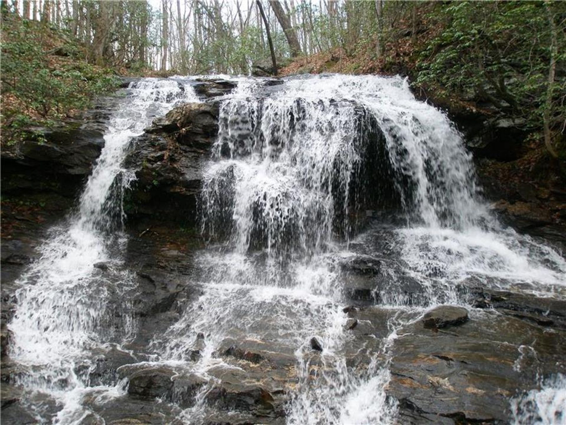 rumah dalam Jasper, Georgia 10853052