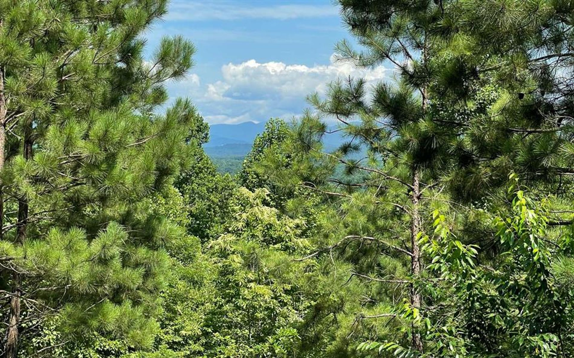 Tierra en Canal Lake, Georgia 10853071