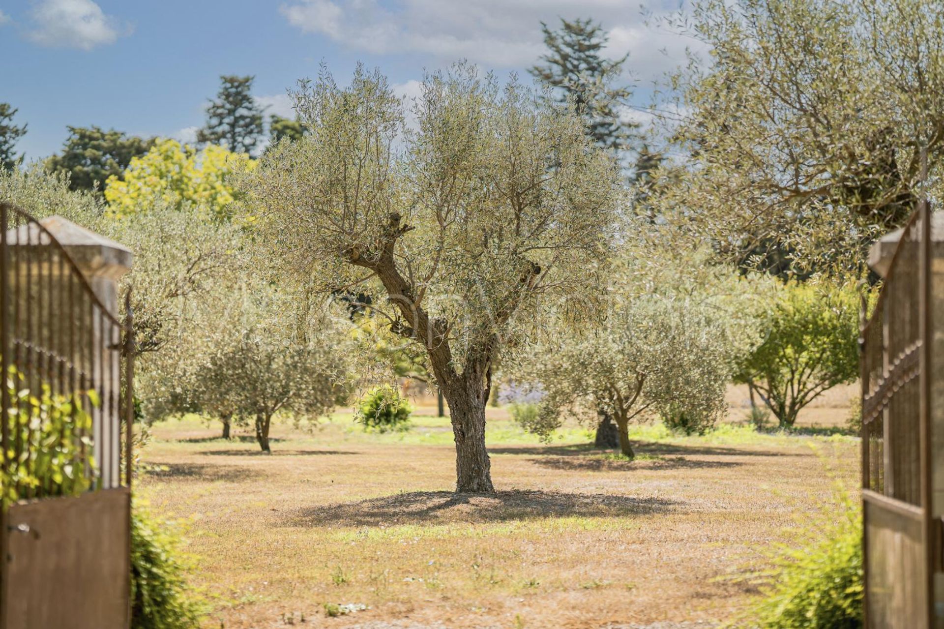 House in L'Isle-sur-la-Sorgue, Provence-Alpes-Cote d'Azur 10853089