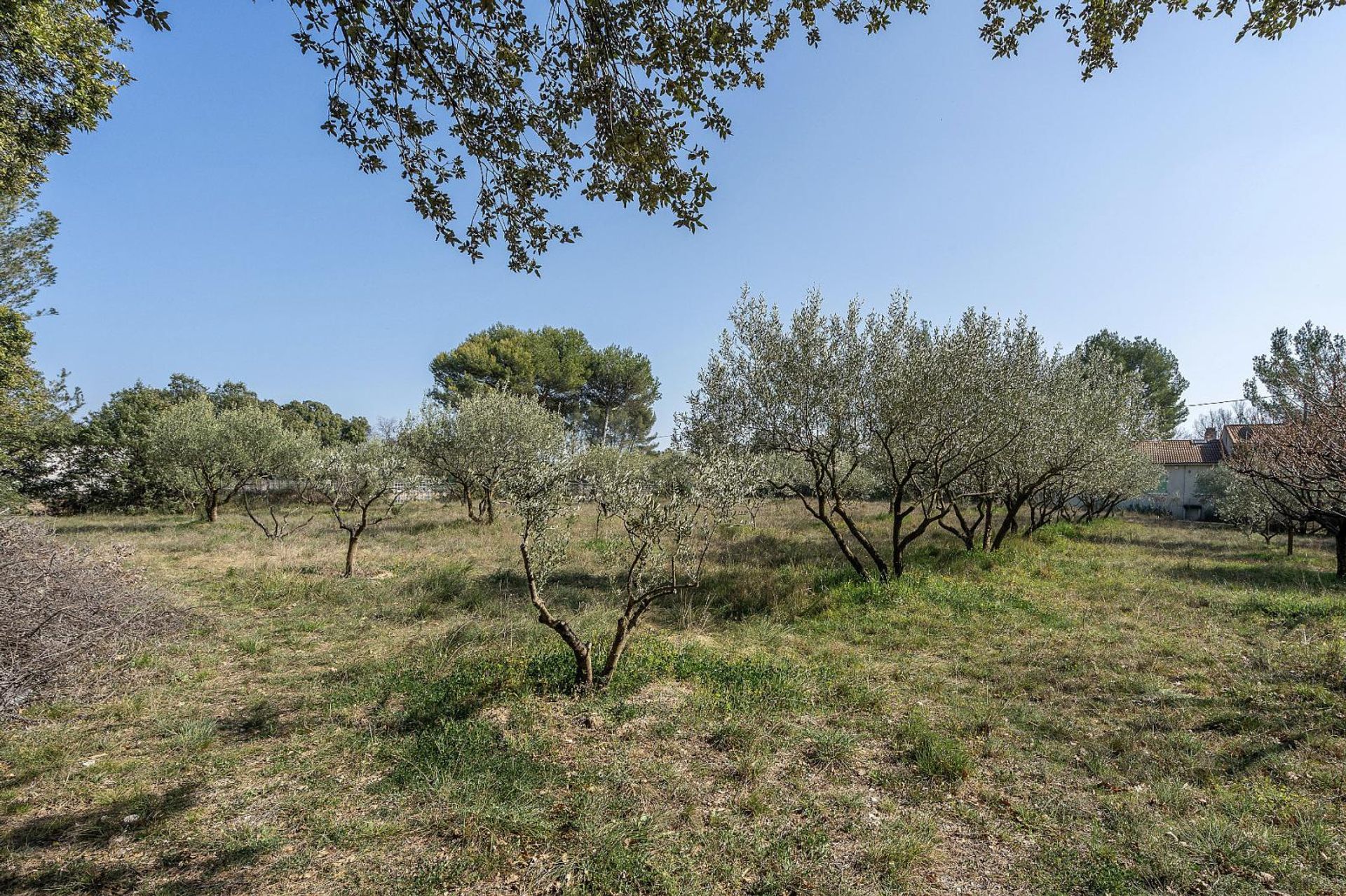 Dom w Mazan, Provence-Alpes-Côte d'Azur 10853140