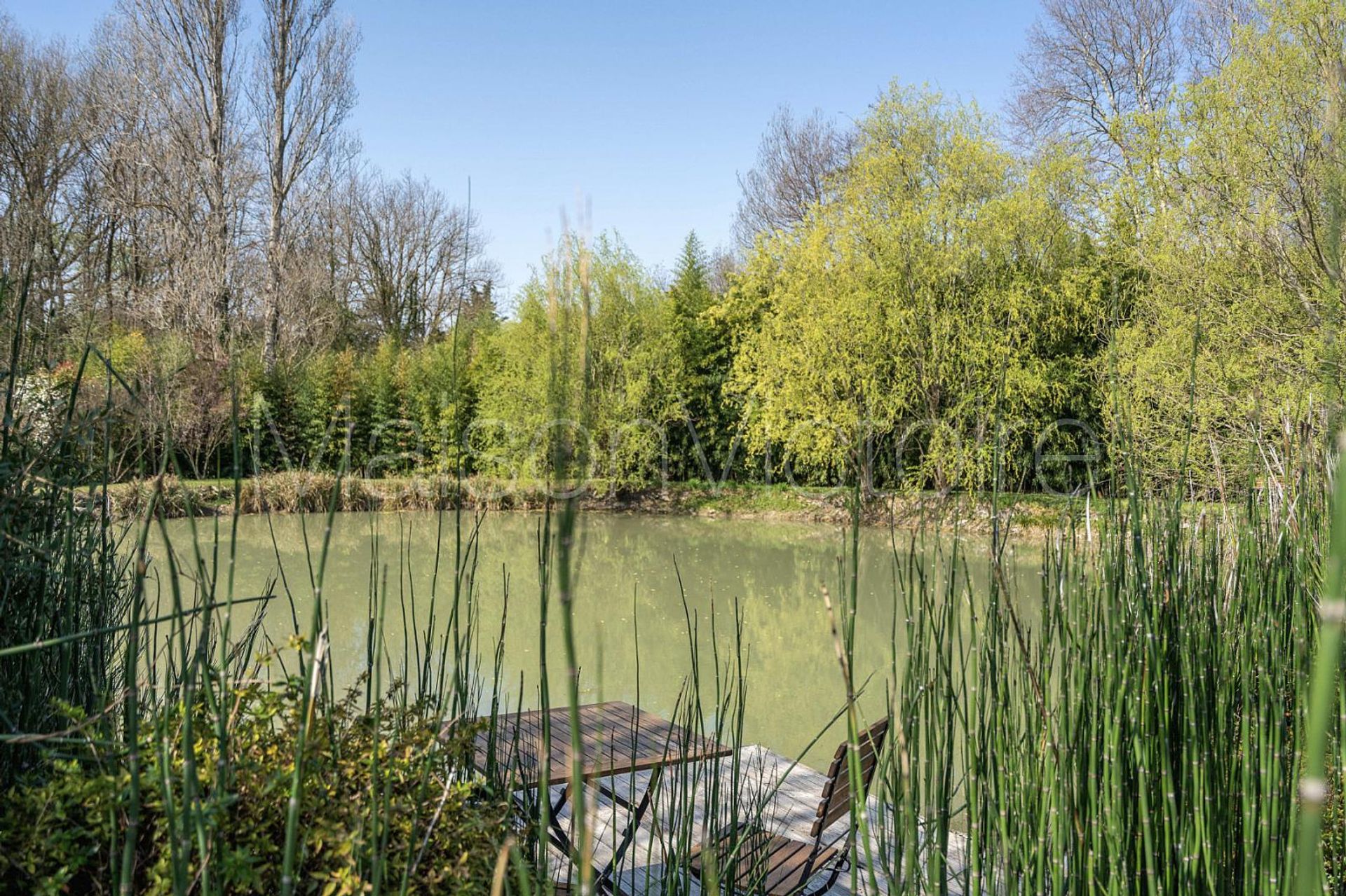 بيت في L'Isle-sur-la-Sorgue, Provence-Alpes-Côte d'Azur 10853325