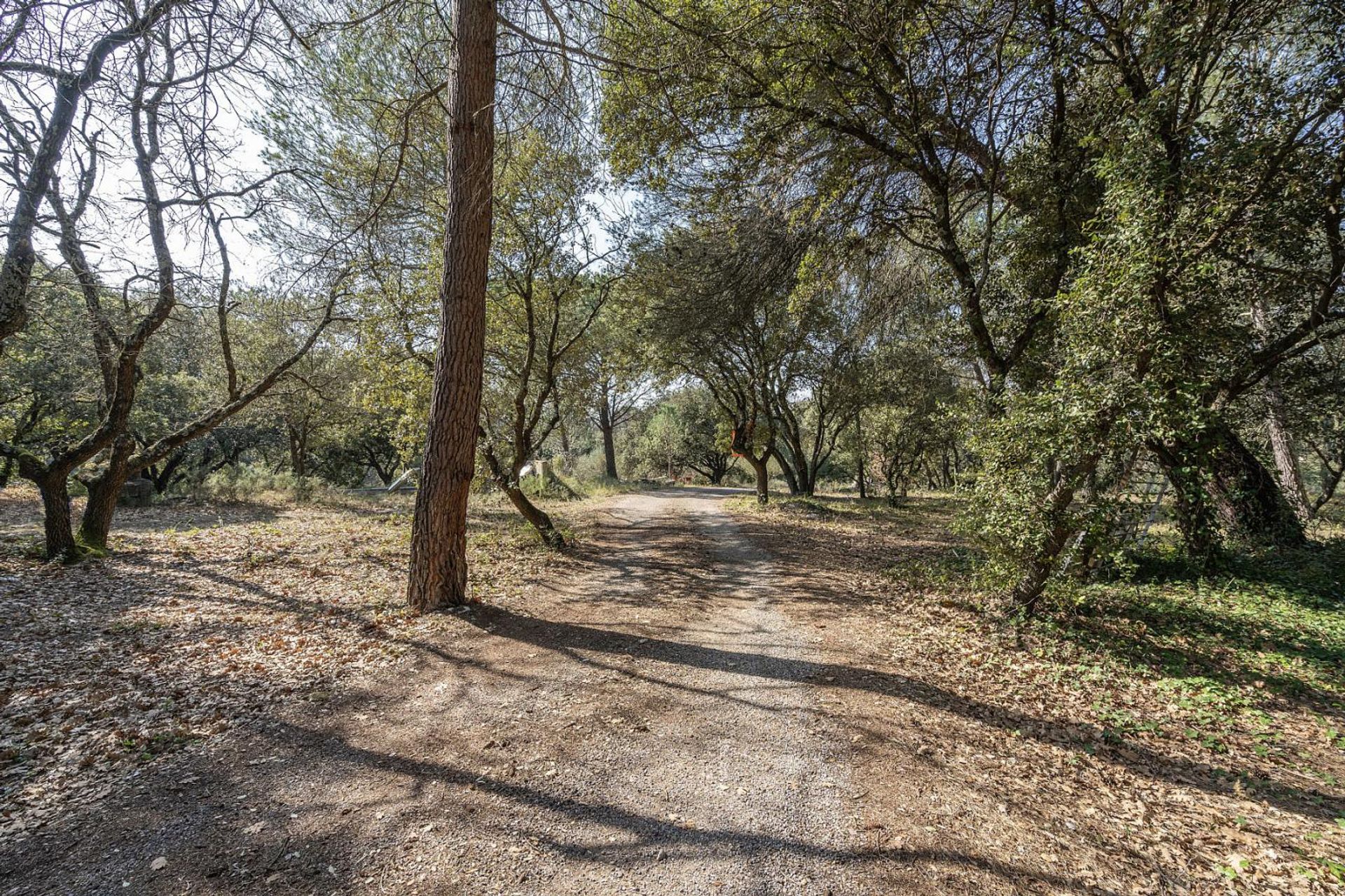 Hus i Mazan, Provence-Alpes-Côte d'Azur 10853390