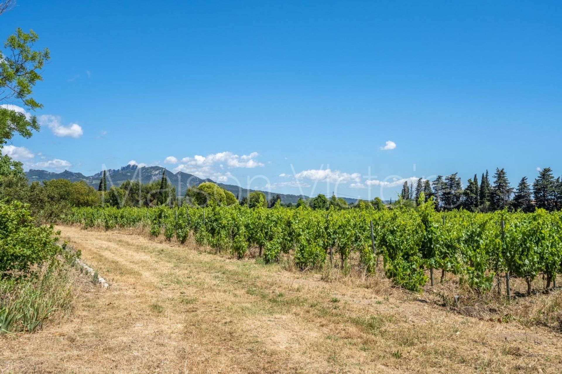 मकान में Violès, Provence-Alpes-Côte d'Azur 10853466