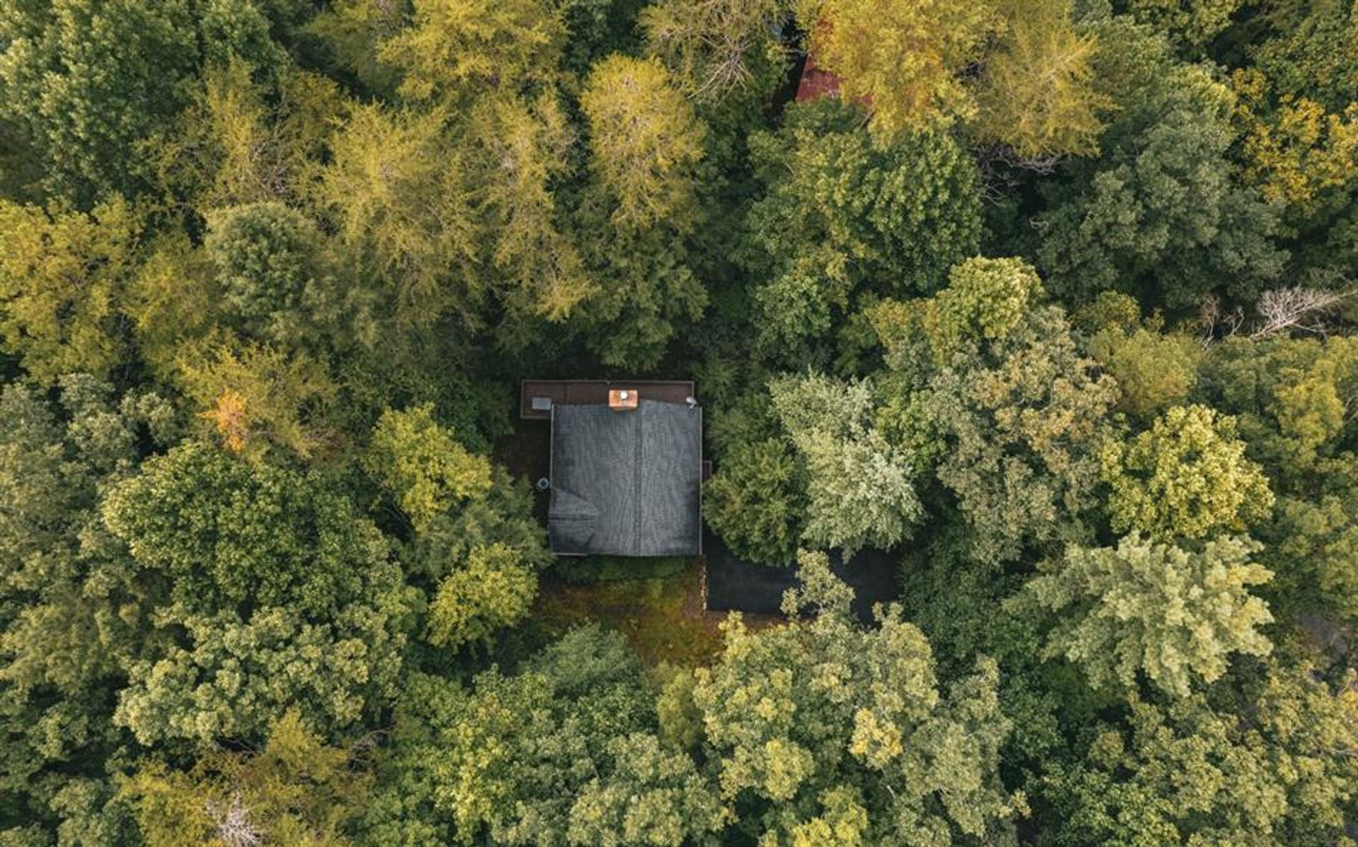 Huis in Blue Ridge, Georgia 10853469