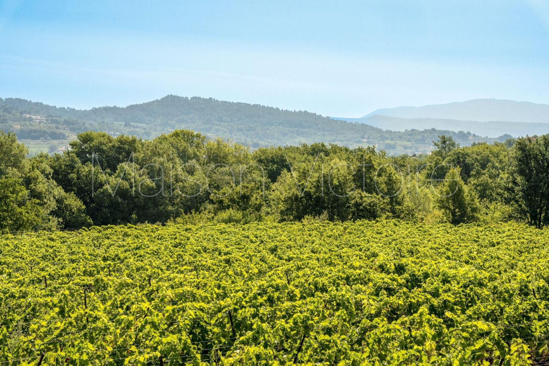 rumah dalam Saint-Pantaléon, Provence-Alpes-Côte d'Azur 10853484