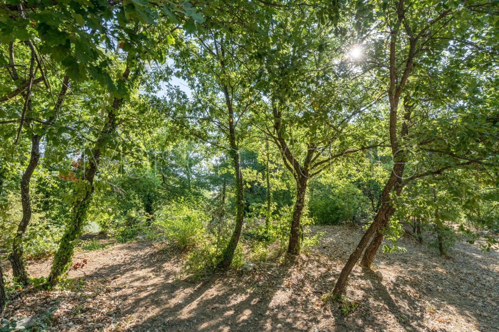 rumah dalam Saint-Pantaléon, Provence-Alpes-Côte d'Azur 10853484