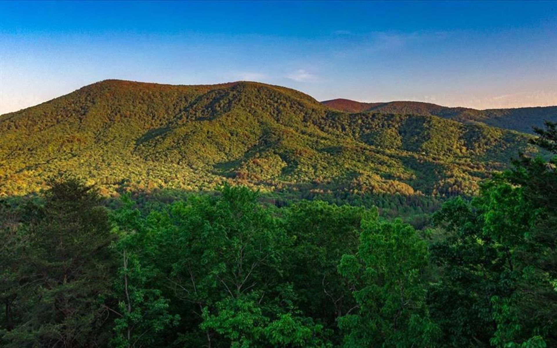 casa no Ellijay, Georgia 10853827