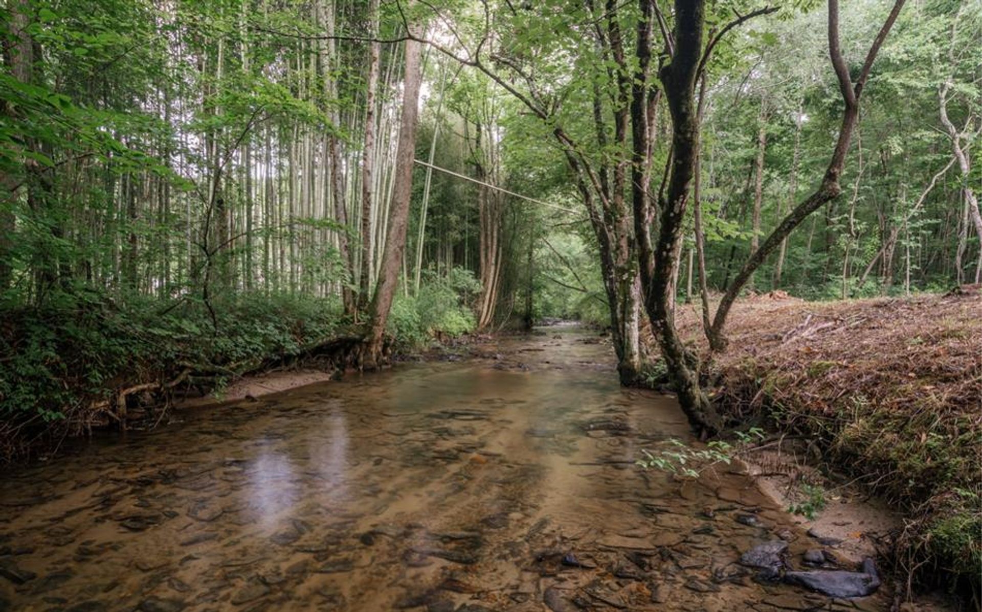 بيت في Dyke, Georgia 10853878