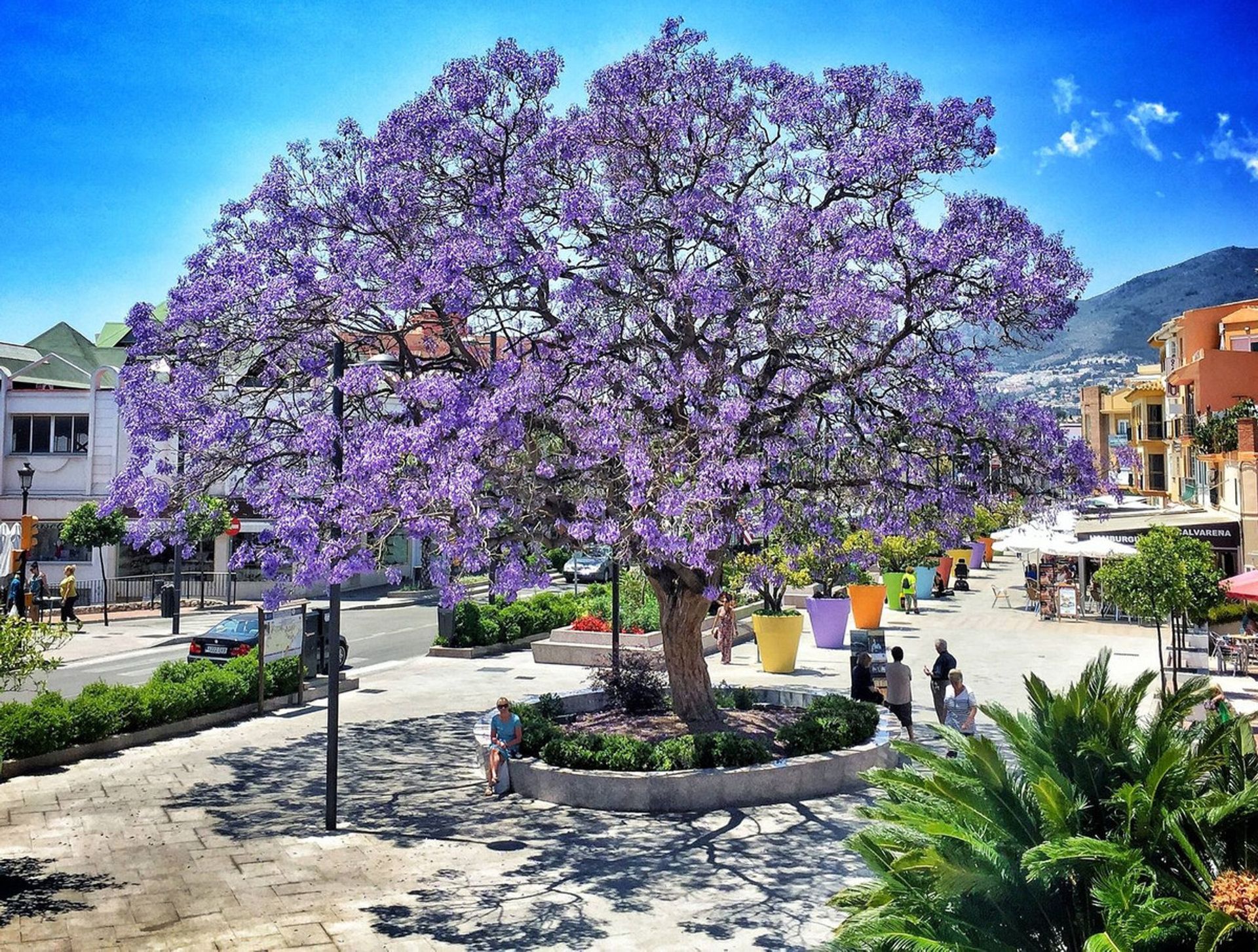 Hus i Benalmádena, Andalucía 10853992