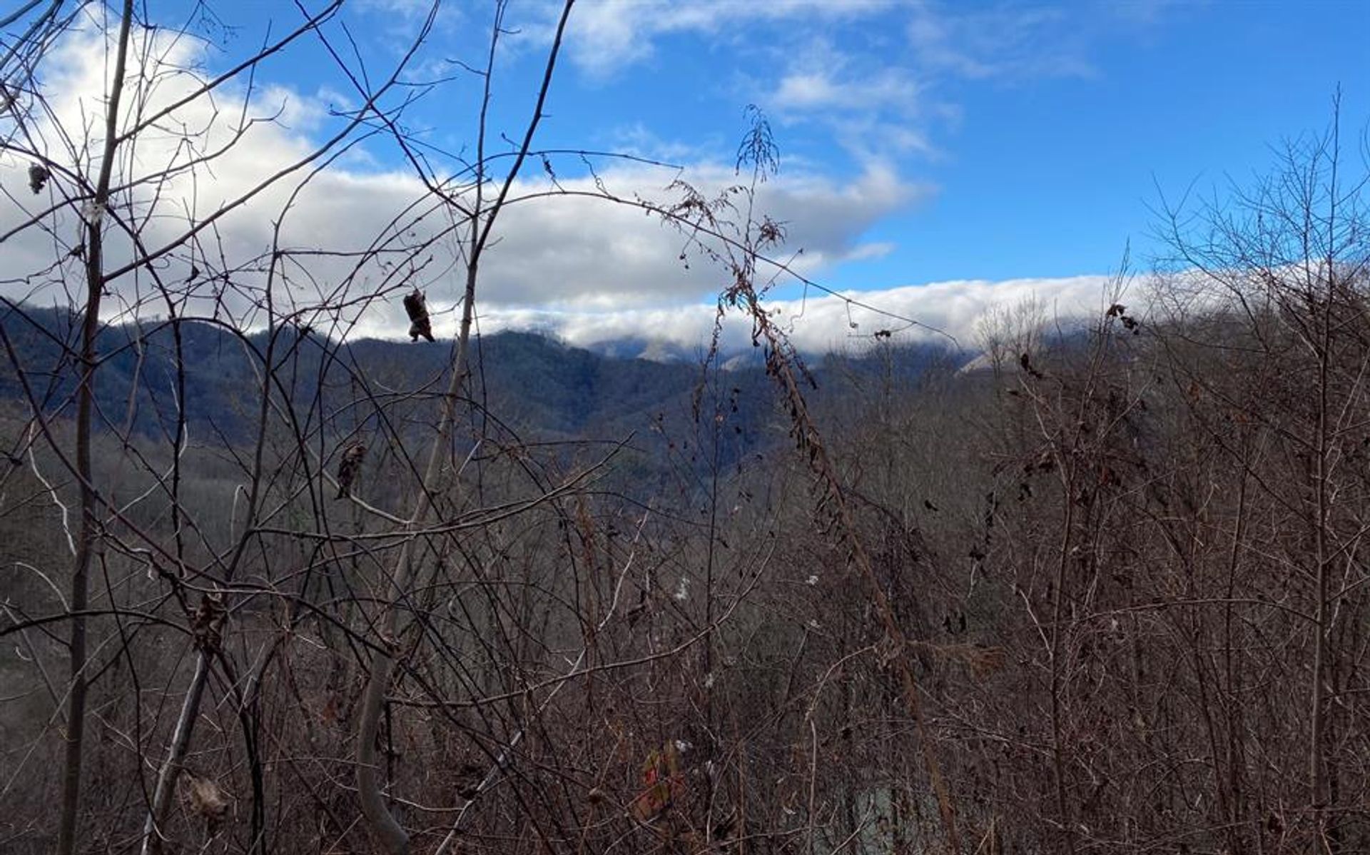 Jord i Talc Mountain, North Carolina 10854713