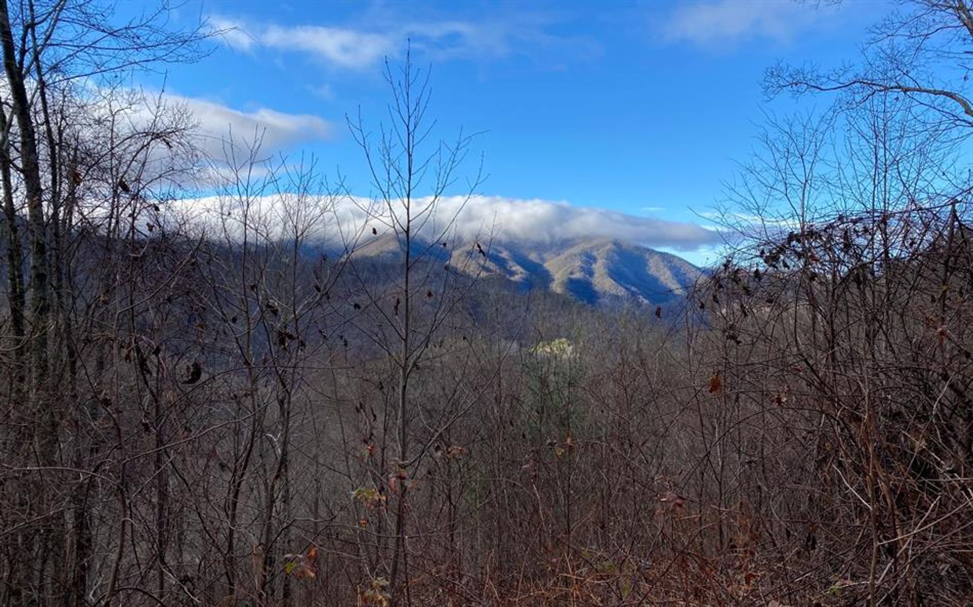 Terra no Talc Mountain, North Carolina 10854715