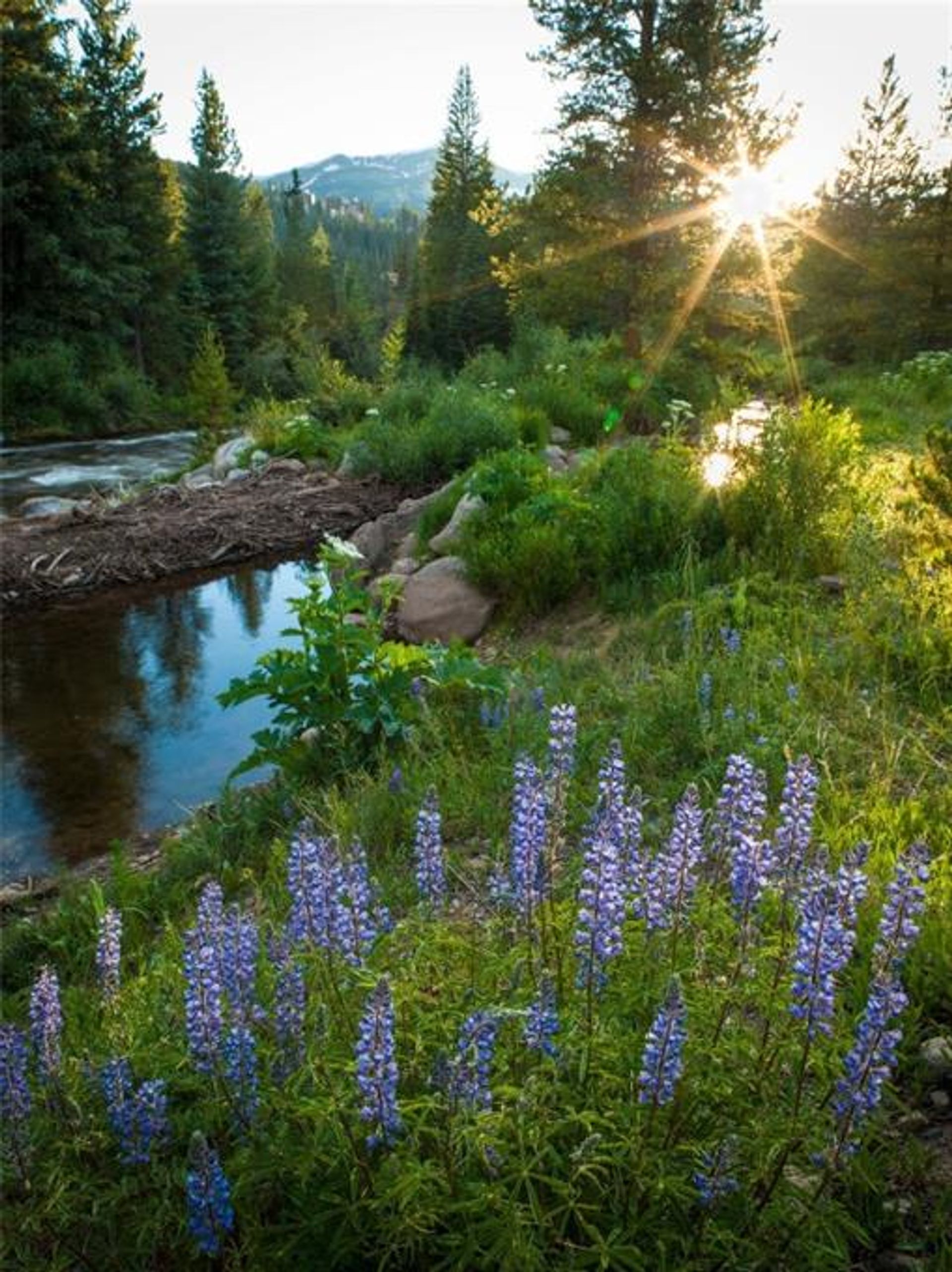 房子 在 Breckenridge, Colorado 10855079