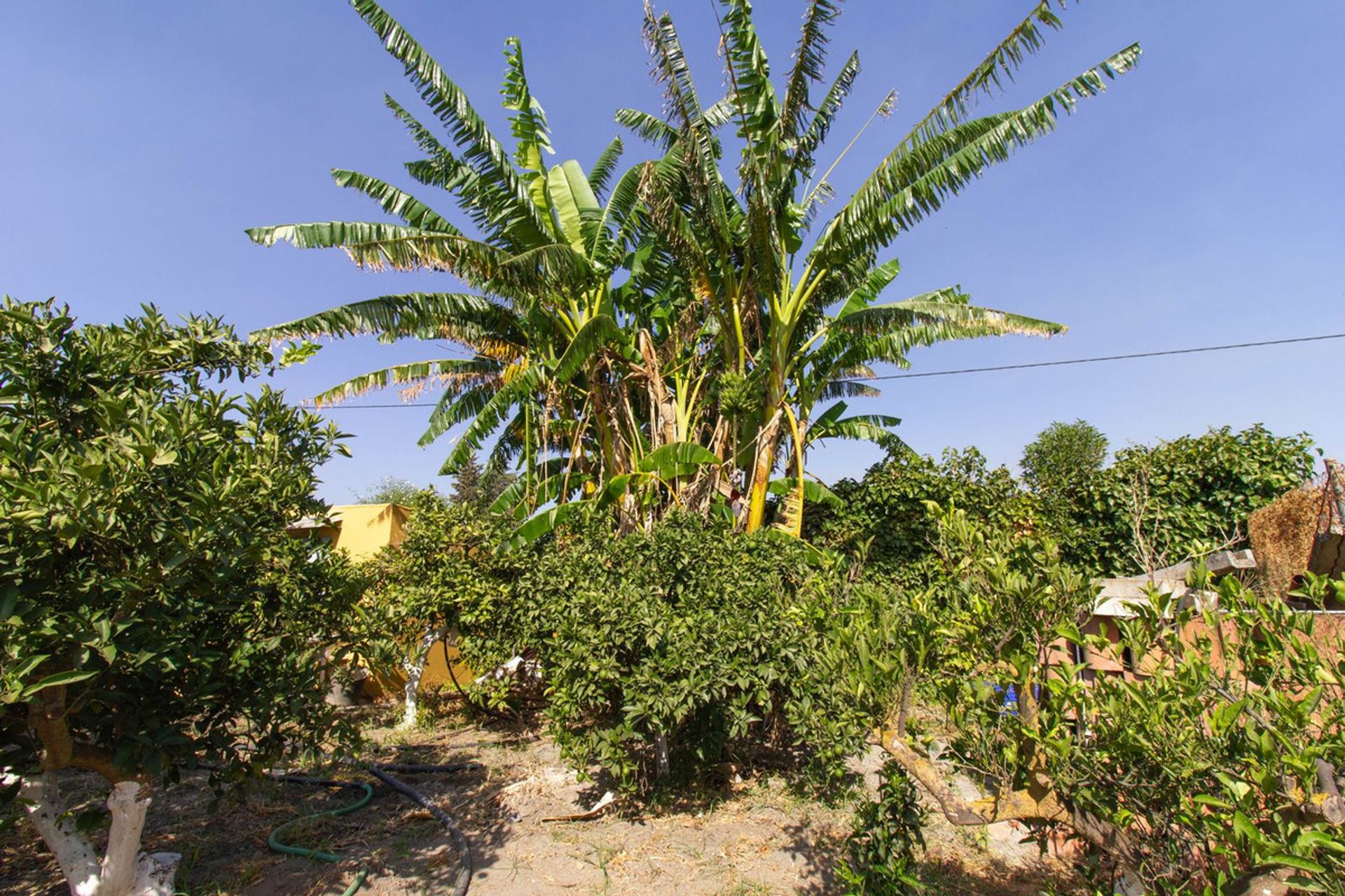 Huis in Cártama, Andalusia 10855111