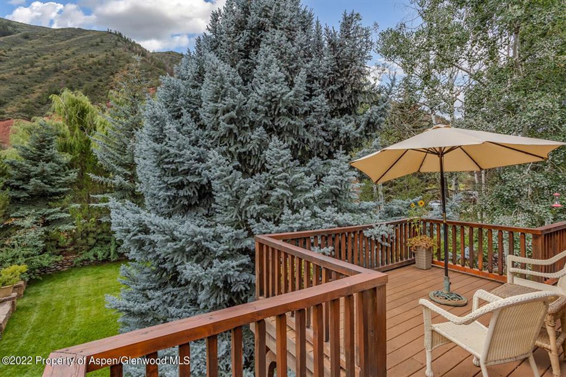 House in Snowmass, Colorado 10855137