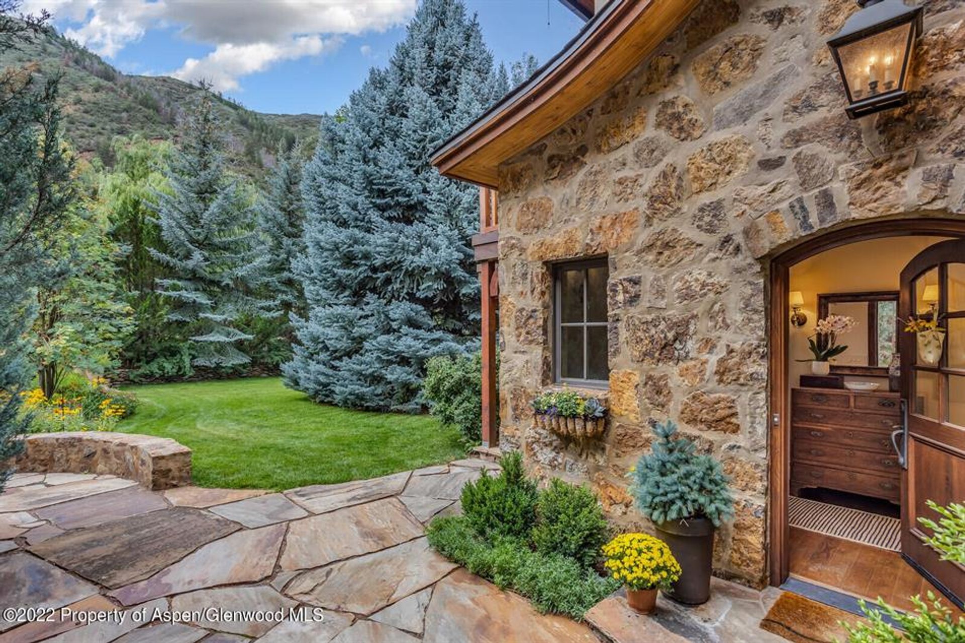 House in Snowmass, Colorado 10855137