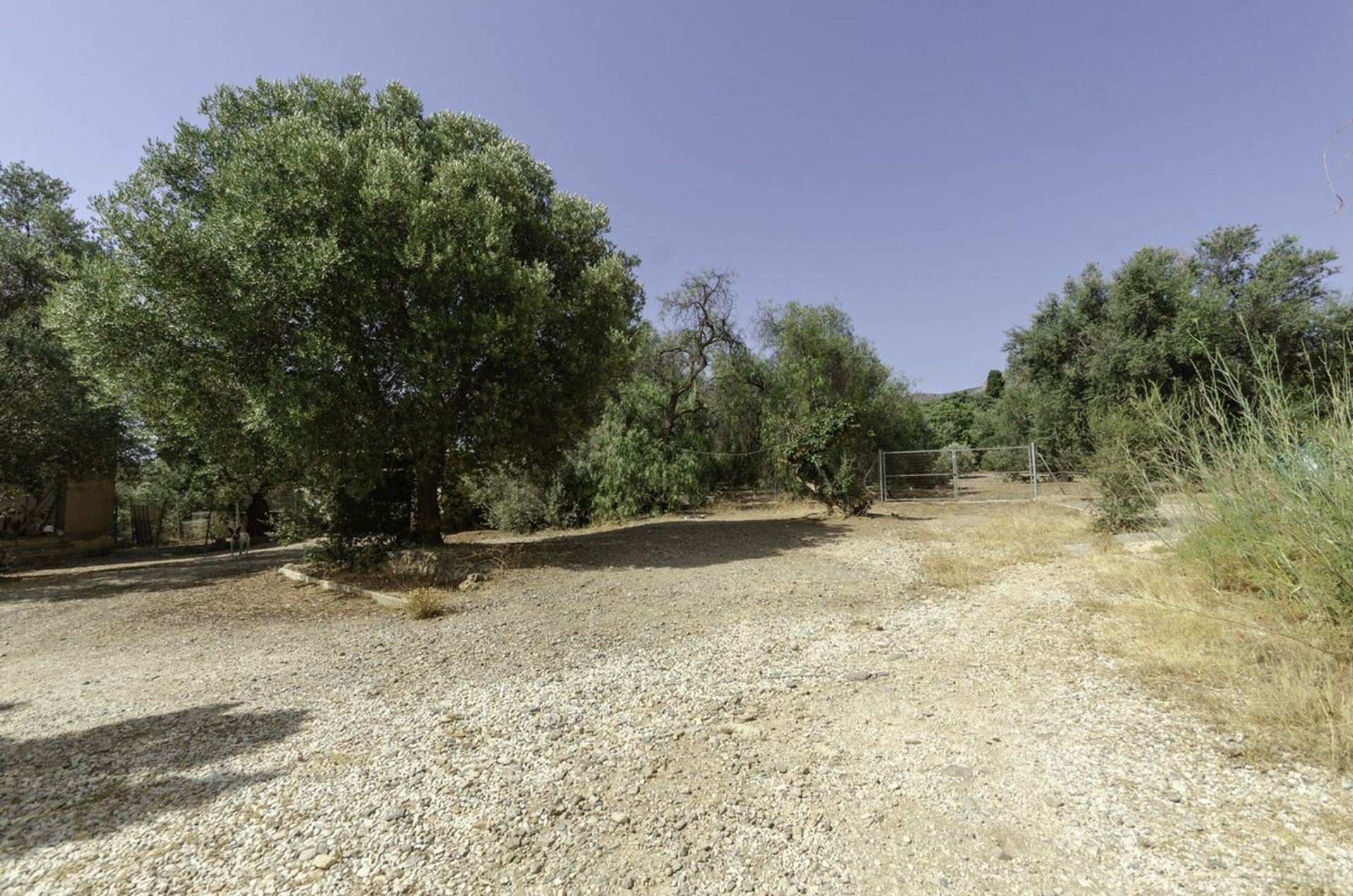 Land in Churriana, Andalusia 10855302