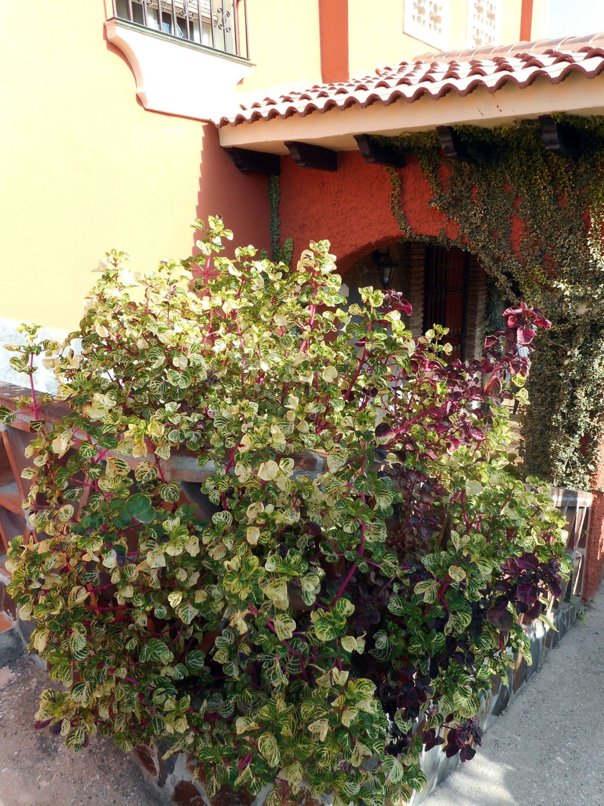 Casa nel Coín, Andalusia 10855380