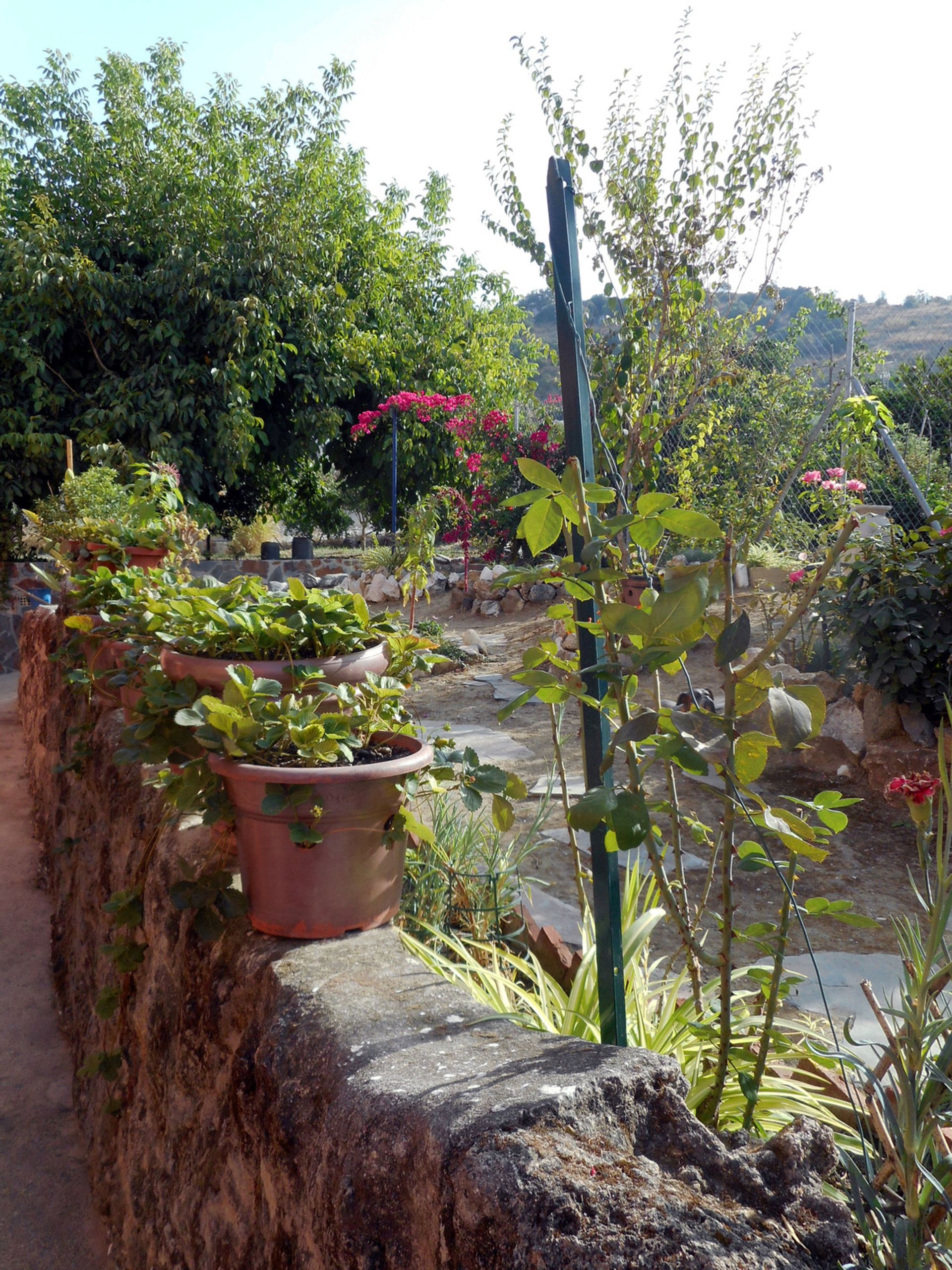 Casa nel Coín, Andalusia 10855380