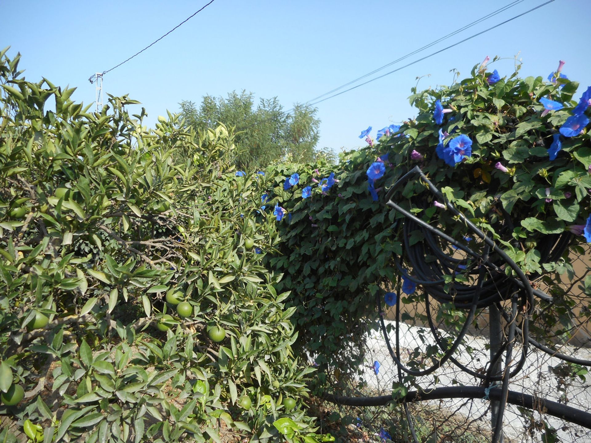 Casa nel Coín, Andalusia 10855380