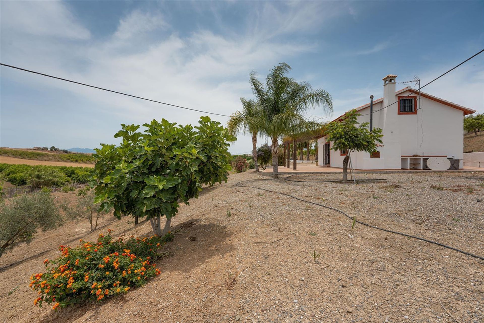 rumah dalam , Andalucía 10855475