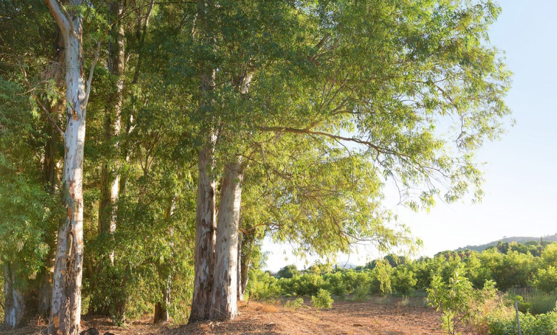 σπίτι σε , Andalucía 10855487