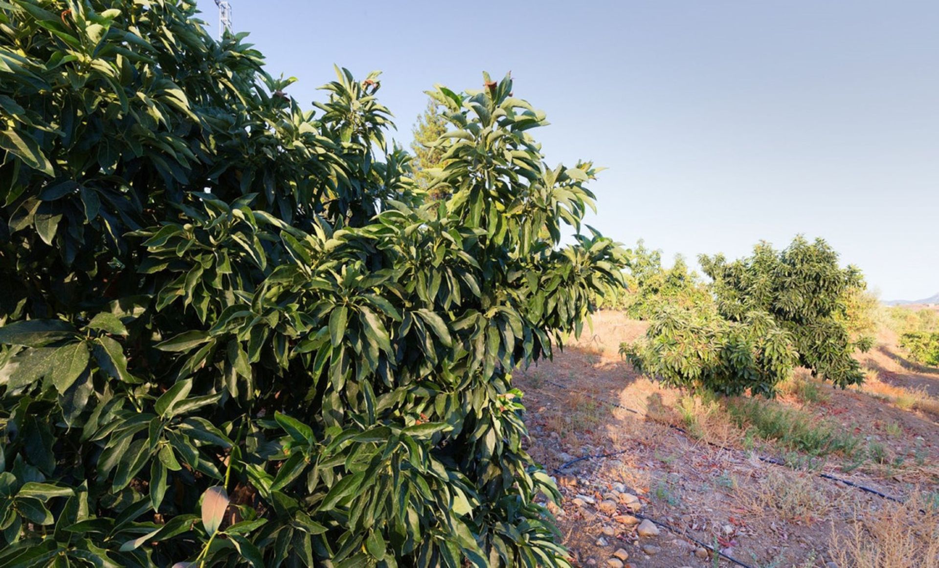 σπίτι σε , Andalucía 10855487