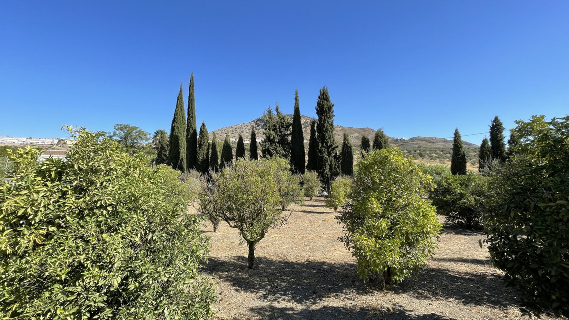 房子 在 Coín, Andalusia 10855770