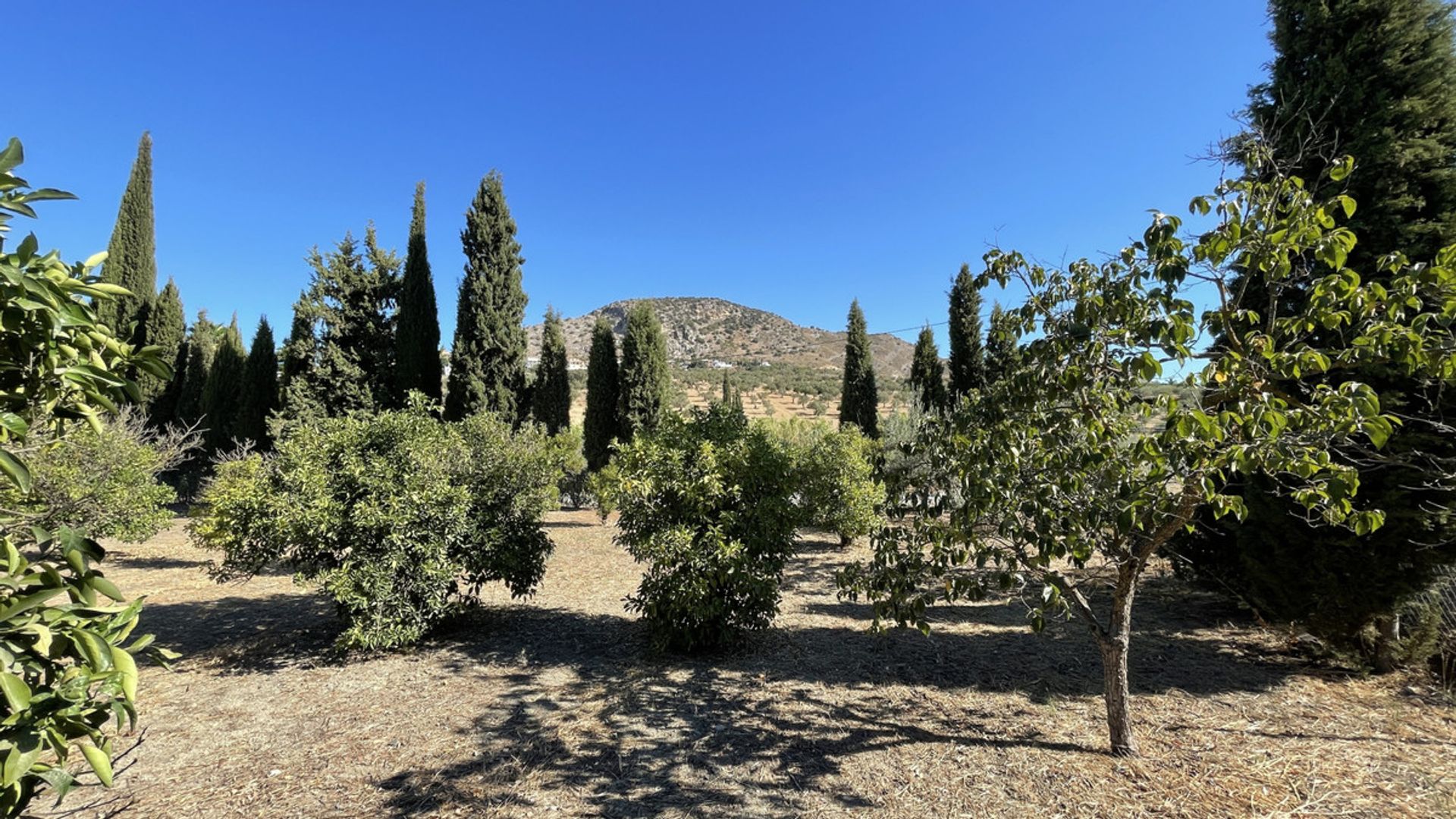 房子 在 Coín, Andalusia 10855770