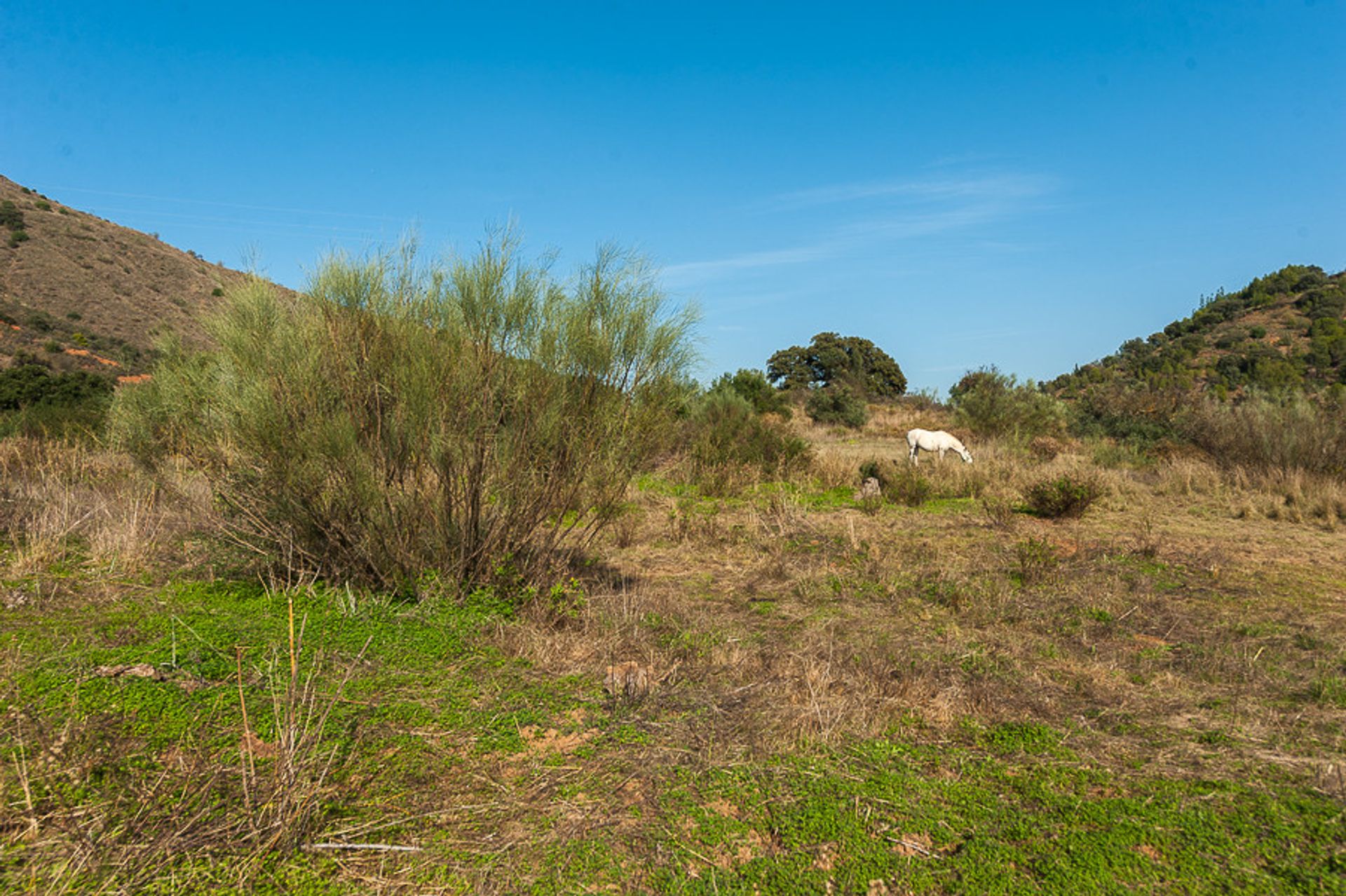 Земля в , Andalucía 10855868